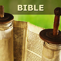 La merveilleuse histoire de la Bible